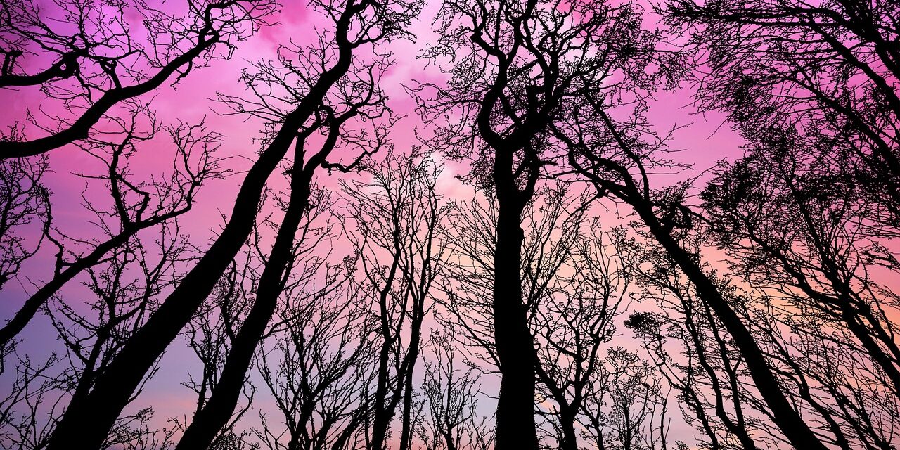 sunset vibrant colors sky