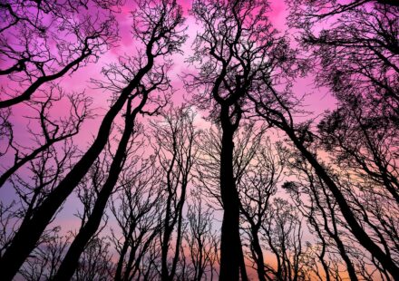 sunset vibrant colors sky