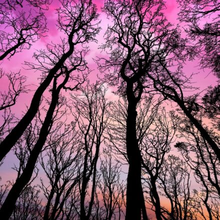sunset vibrant colors sky
