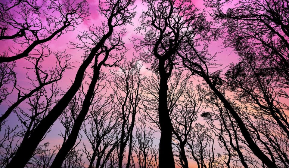sunset vibrant colors sky