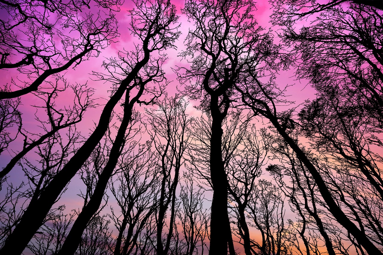 Atardecer de Hoy en: Más Allá de la Hora Exacta