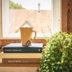 window replacement cost
